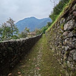 Strada Regia è un percorso pedonale, o ciclabile, di una trentina di chilometri che incontra una serie di paesi tra i più interessanti del Lario.